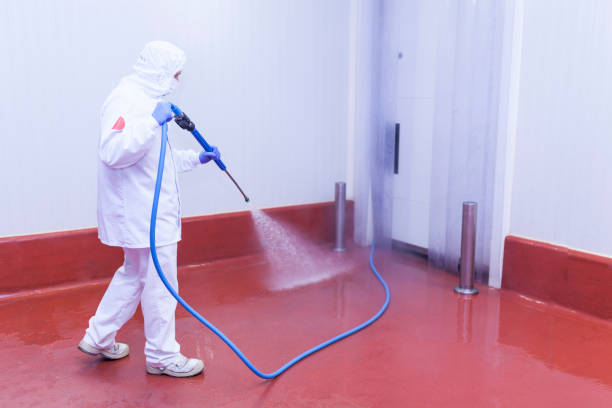 Greenport West, NY Pressure Washing Services Company